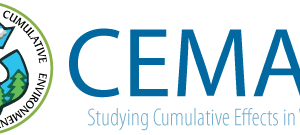 See ya CEMA